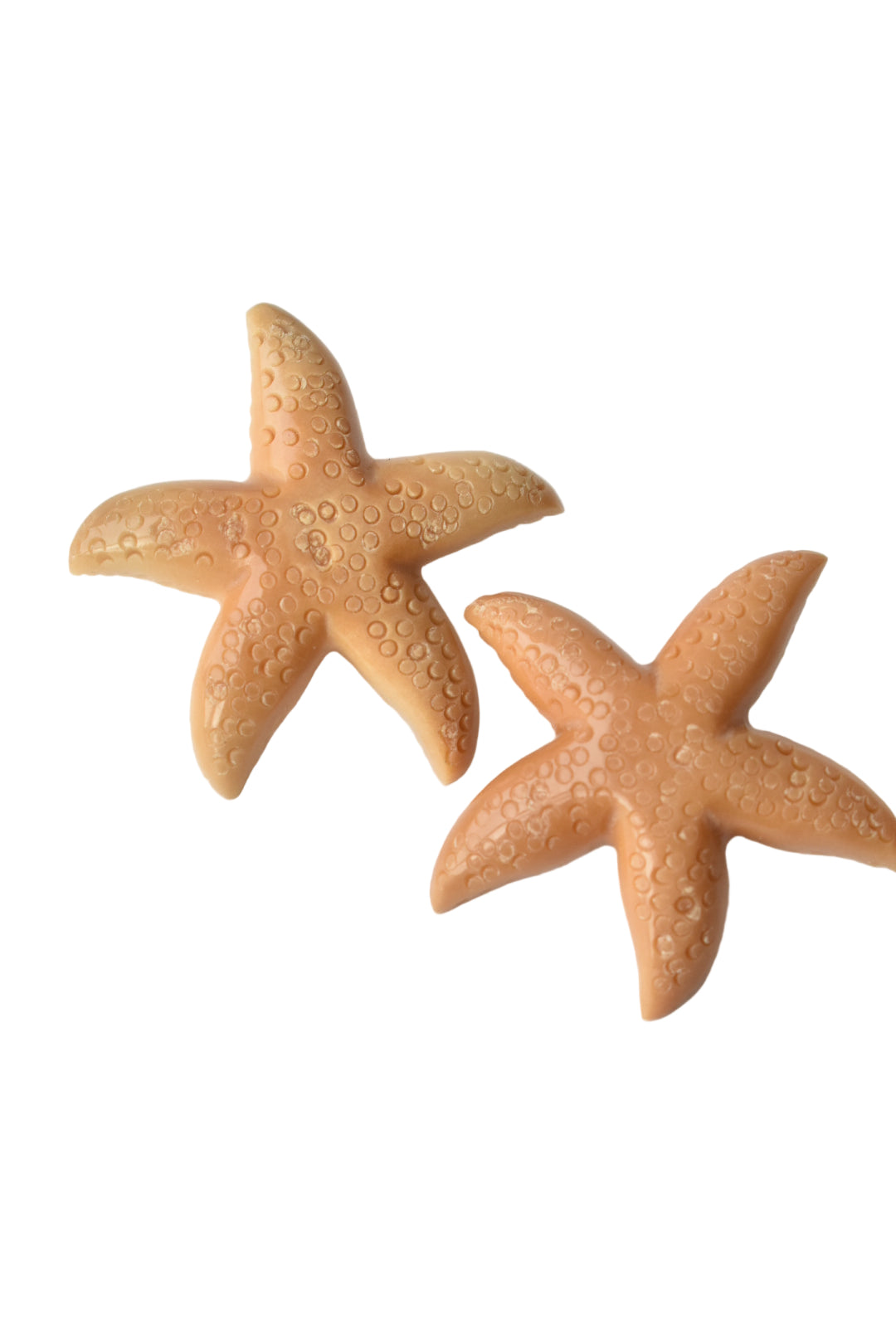 Starfish Earrings